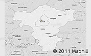 Silver Style 3D Map of Radom I