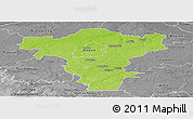 Physical Panoramic Map of Radom I, desaturated