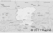 Silver Style 3D Map of Debica