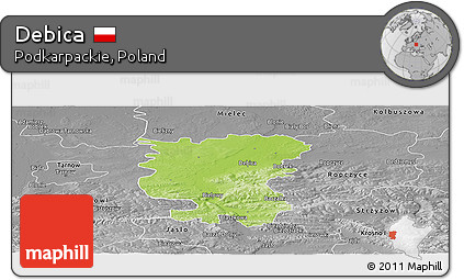 Physical Panoramic Map of Debica, desaturated