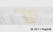 Shaded Relief Panoramic Map of Jaslo, lighten, desaturated