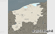 Shaded Relief 3D Map of Slupsk I, darken