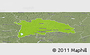 Physical Panoramic Map of Nowy Tomysl, semi-desaturated