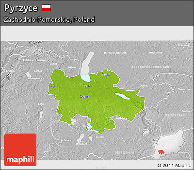 Physical 3D Map of Pyrzyce, lighten, desaturated
