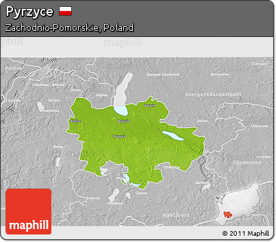 Physical 3D Map of Pyrzyce, lighten, desaturated