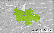 Physical 3D Map of Pyrzyce, lighten, desaturated