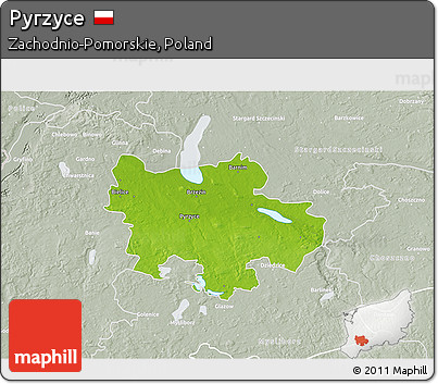 Physical 3D Map of Pyrzyce, lighten, semi-desaturated