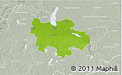 Physical 3D Map of Pyrzyce, lighten, semi-desaturated