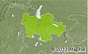 Physical 3D Map of Pyrzyce, semi-desaturated