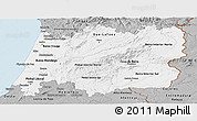 Gray Panoramic Map of Centro