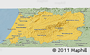 Savanna Style Panoramic Map of Centro