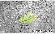 Physical 3D Map of Serta, desaturated