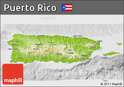 Physical 3D Map of Puerto Rico, lighten, desaturated