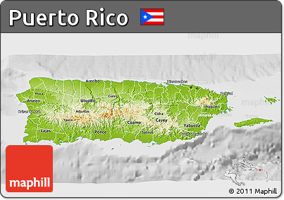 Physical 3D Map of Puerto Rico, lighten, desaturated