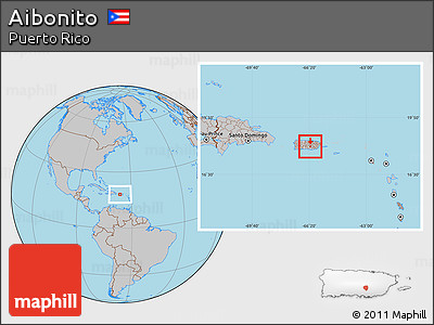 Gray Location Map of Aibonito