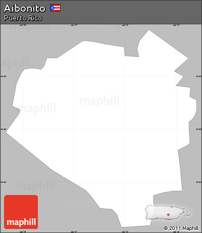 Gray Simple Map of Aibonito, single color outside
