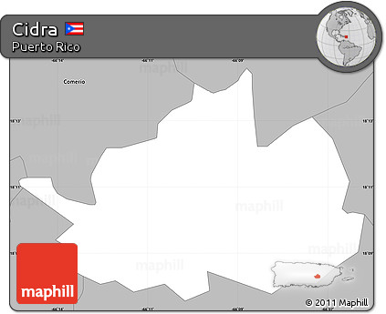 Gray Simple Map of Cidra