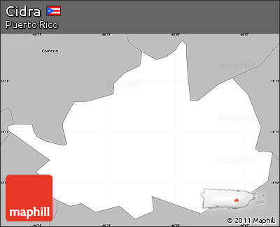 Gray Simple Map of Cidra
