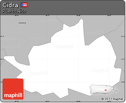 Gray Simple Map of Cidra