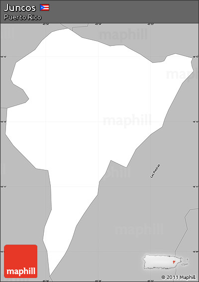 Gray Simple Map of Juncos