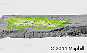 Physical Panoramic Map of Puerto Rico, darken, desaturated