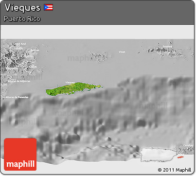 Satellite 3D Map of Vieques, lighten, desaturated