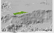 Satellite 3D Map of Vieques, lighten, desaturated