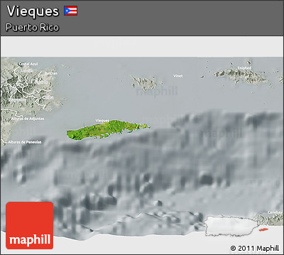 Satellite 3D Map of Vieques, lighten, semi-desaturated