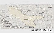 Shaded Relief Panoramic Map of Loudima, semi-desaturated