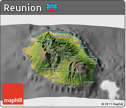 Satellite 3D Map of Reunion, desaturated
