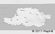 Gray 3D Map of Arad, single color outside