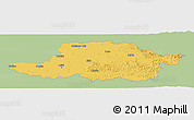 Savanna Style Panoramic Map of Arad, single color outside