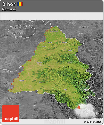 Satellite 3D Map of Bihor, desaturated