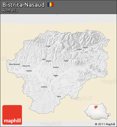 Classic Style 3D Map of Bistrita-Nasaud, single color outside