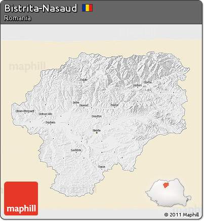 Classic Style 3D Map of Bistrita-Nasaud, single color outside