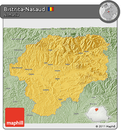 Savanna Style 3D Map of Bistrita-Nasaud
