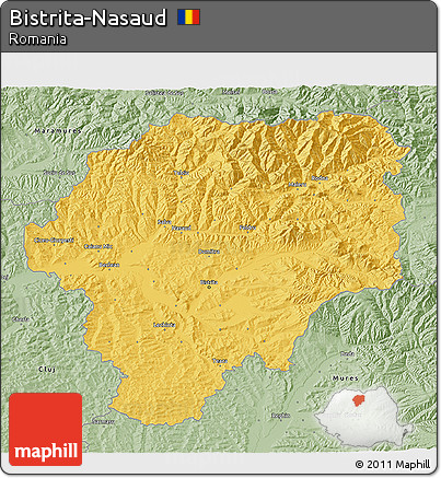 Savanna Style 3D Map of Bistrita-Nasaud