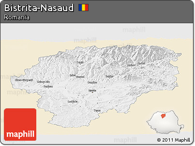 Classic Style Panoramic Map of Bistrita-Nasaud, single color outside
