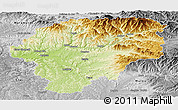 Physical Panoramic Map of Bistrita-Nasaud, desaturated