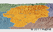 Political Panoramic Map of Bistrita-Nasaud, semi-desaturated