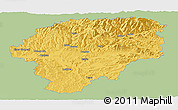 Savanna Style Panoramic Map of Bistrita-Nasaud, single color outside