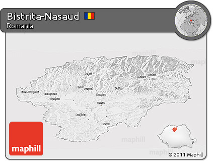 Silver Style Panoramic Map of Bistrita-Nasaud, single color outside