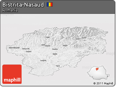 Silver Style Panoramic Map of Bistrita-Nasaud, single color outside