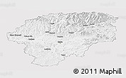Silver Style Panoramic Map of Bistrita-Nasaud, single color outside