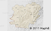 Shaded Relief 3D Map of Caras-Severin, lighten, desaturated