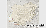 Shaded Relief 3D Map of Caras-Severin, semi-desaturated
