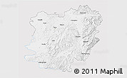 Silver Style 3D Map of Caras-Severin, single color outside