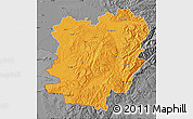 Political Map of Caras-Severin, desaturated