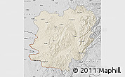 Shaded Relief Map of Caras-Severin, desaturated