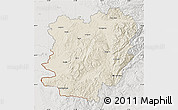 Shaded Relief Map of Caras-Severin, lighten, semi-desaturated